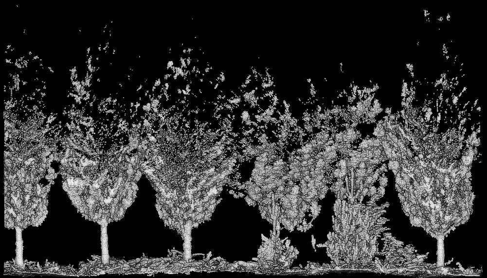 A MLS dataset with too much occlusion. A solid half of the trees is missing. Arbor tracks and measures but does not “invent” geometries. If it not sampled it is not measured.