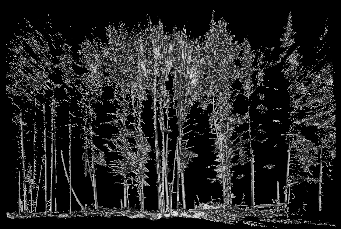 A TLS dataset with way too much noise. The sensor is scattering rays and irrelevant points. There is also a single scan at the plot center meaning that we can see at best only half of the trunks. This is far beyond arbor capacities.