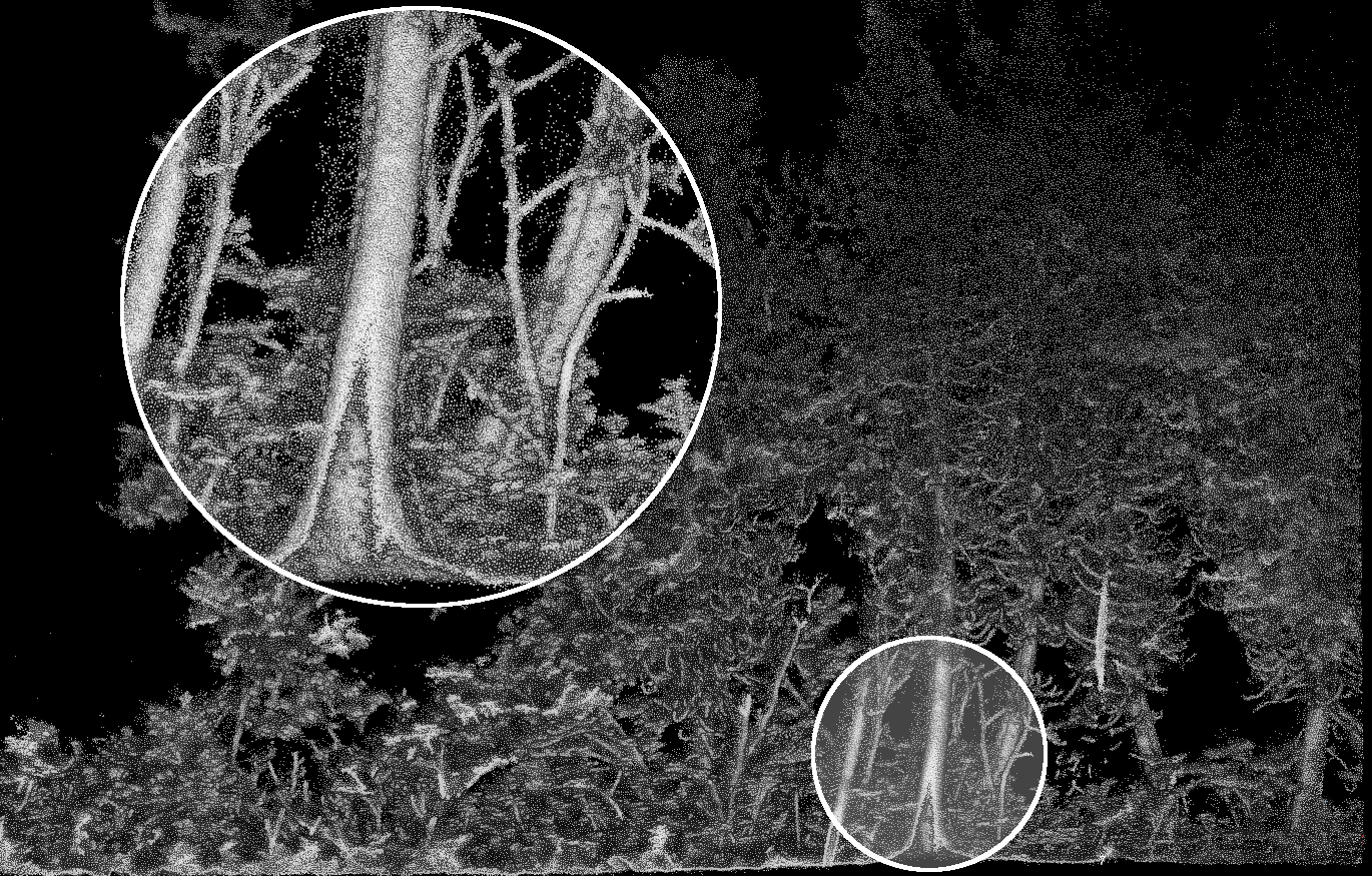 A very noisy MLS dataset. Noise seems to follow a pattern. It looks like that the SLAM misaligned some data leading to some duplicated “ghost” trees. Hard to guess what actually happened but this point cloud is of poor quality.