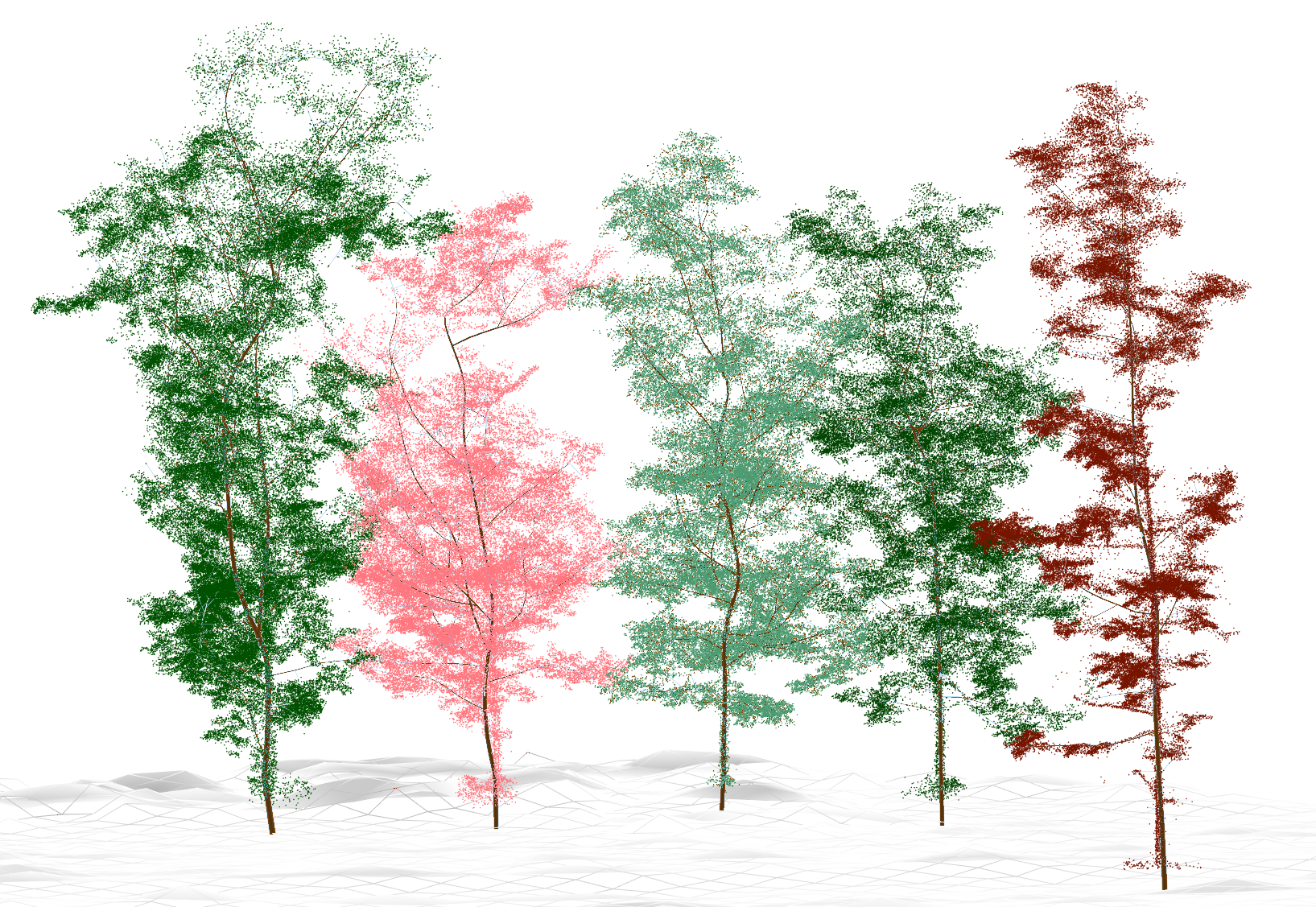 Five trees have 0 measurements. The QSM module was not able to measure anything on those trees. Instead, it built allometry-based QSMs, considering that having a realistic result is better than missing trees