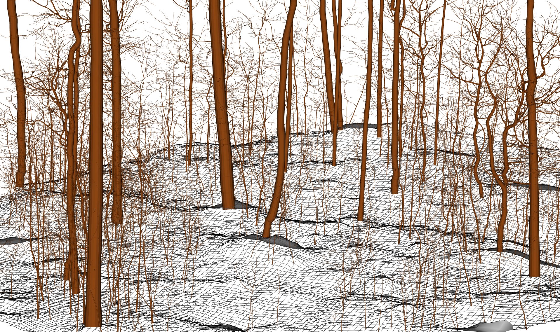 3D rendering of a QSF. QSF computed in 4 seconds