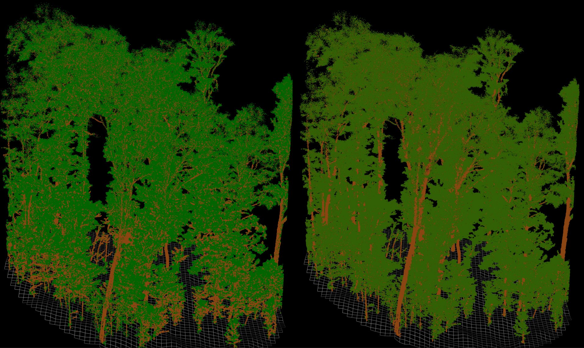 Raw semantic segmentation (left) and post-processing using QSMs and a QSF (right)