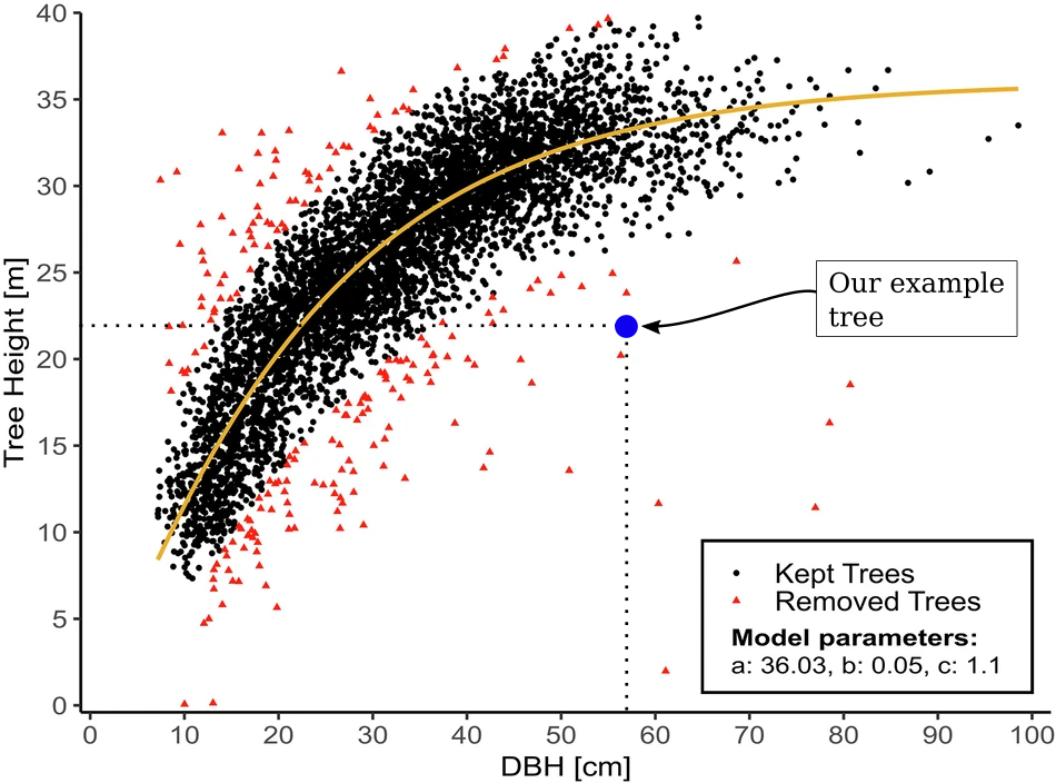 Relationship between DBH and tree height from Griese et al. (2025). Blue annotations highlight our example tree used in this book