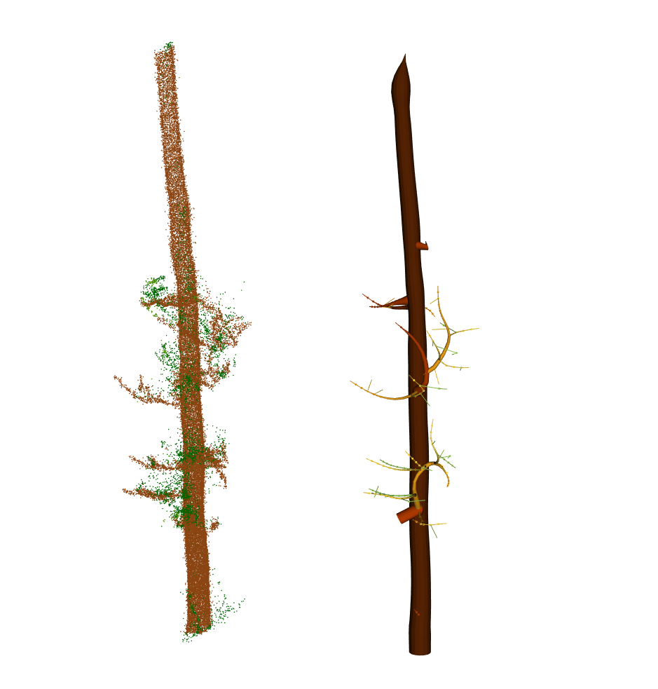 A broken tree and its QSM