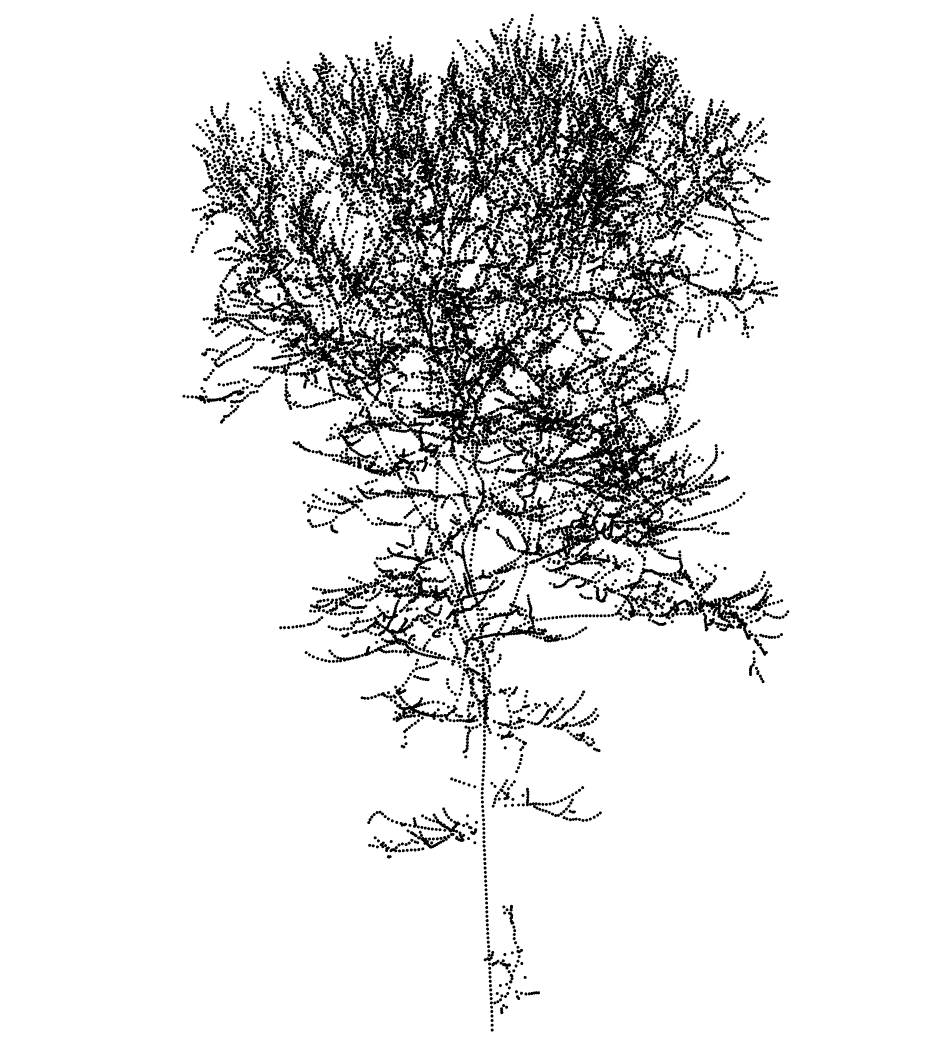 Cluster centroids reconstructed from layered point-cloud segments. Centroids are estimated using Orbicular Fitting whenever possible and fall back to the barycenter when fitting is unreliable.
