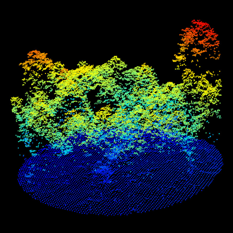 CHM/DTM point clouds for the ALS (top left), MLS (top right) and TLS (bottom left). We can observe the difference of qualities between ALS, MLS and TLS. But nothing that prevent alignment. Canopy gaps, dominant tree, gaps shapes and DTM shapes are visible in all datasets.