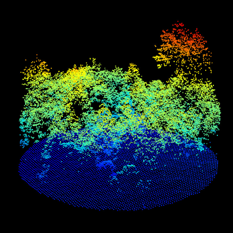 CHM/DTM point clouds for the ALS (top left), MLS (top right) and TLS (bottom left). We can observe the difference of qualities between ALS, MLS and TLS. But nothing that prevent alignment. Canopy gaps, dominant tree, gaps shapes and DTM shapes are visible in all datasets.