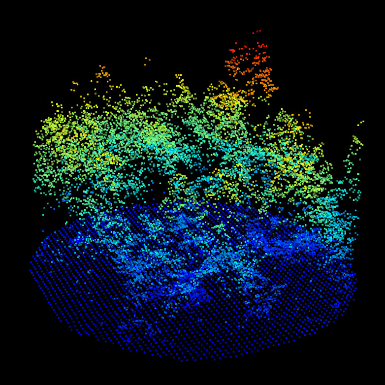 CHM/DTM point clouds for the ALS (top left), MLS (top right) and TLS (bottom left). We can observe the difference of qualities between ALS, MLS and TLS. But nothing that prevent alignment. Canopy gaps, dominant tree, gaps shapes and DTM shapes are visible in all datasets.
