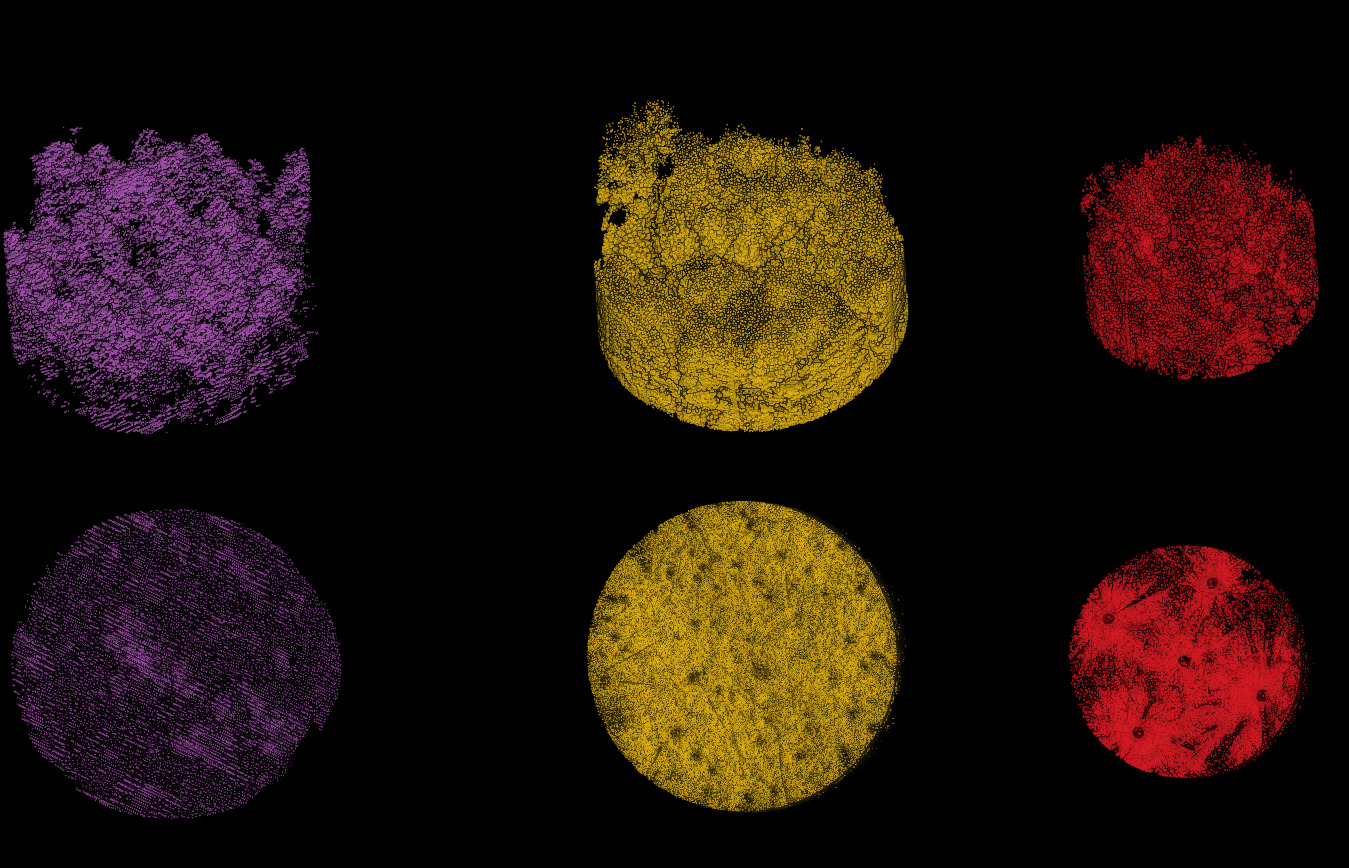 ALS, MLS, and TLS datasets clipped to a 20 m radius (TLS was already clipped to 15 m). The bottom view shows that the TLS data was acquired from five scan positions, with sparse data visible between the scans.