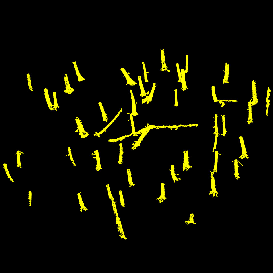 The 50 main anisotropic features extracted from each point cloud. As expected, they do not match perfectly, primarily due to the low quality of the TLS data, which suffers from significant occlusion, cast shadows and lack of scan positions (here 5 scans). Despite this, we typically have enough structure to perform a reliable alignment. In practice, even just three matching features would be sufficient for a registration in this context.